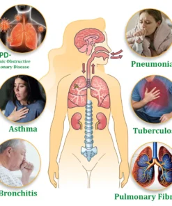 Alisanda™ Herbal Lung Cleansing Inhaler