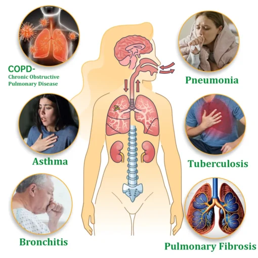 Alisanda™ Herbal Lung Cleansing Inhaler