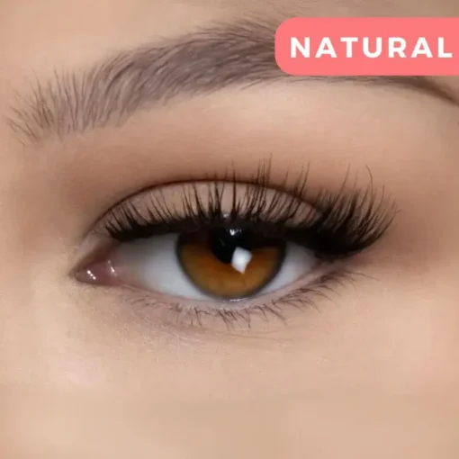 Alisanda™ Magnetic Eyelashes