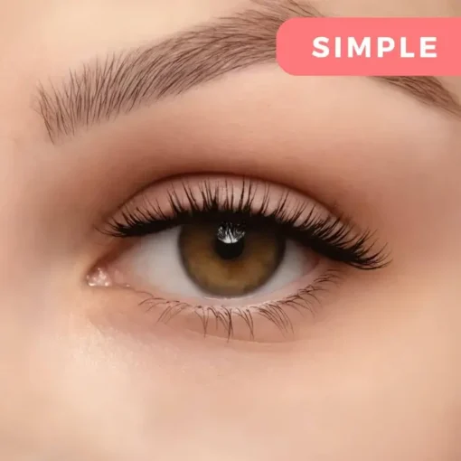 Alisanda™ Magnetic Eyelashes