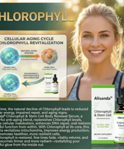 Alisanda® 𝖢𝗁𝗅𝗈𝗋𝗈𝗉𝗁𝗒𝗅𝗅 & 𝑆𝑡𝑒𝑚 𝐶𝑒𝑙𝑙 𝖻𝗈𝖽𝗒 𝗋𝖾𝗇𝖾𝗐𝖺𝗅 𝗌𝖾𝗋𝗎𝗆