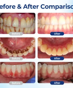 Alisanda® BeeTakt Oral Repair Solution