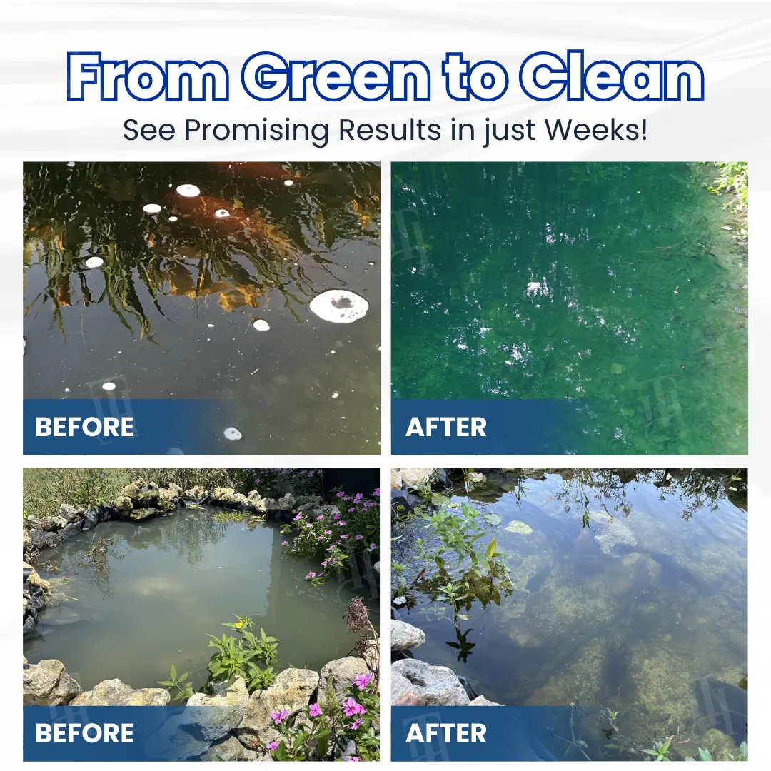 Alisanda® ClearWater Rescue Formula